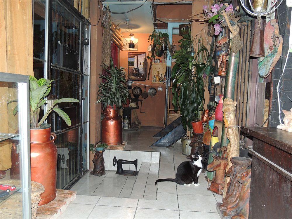 Hostal Del Este Santa Fe サンホセ エクステリア 写真